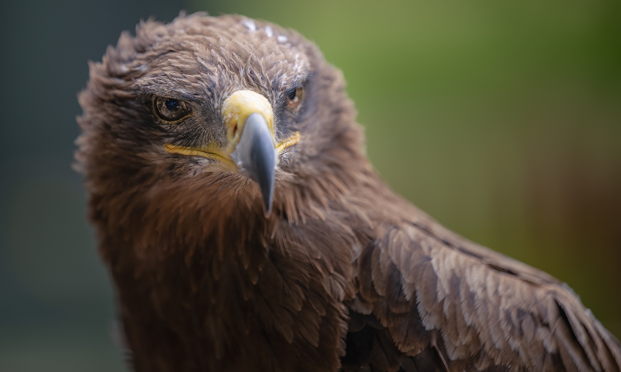 Photos from our Far North Cycling Holiday